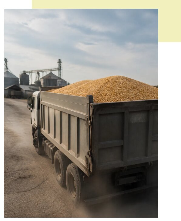 Перевозка сельхозпродукции навалом в Белгород по цене от 3116 р. | Агросервис-Блг